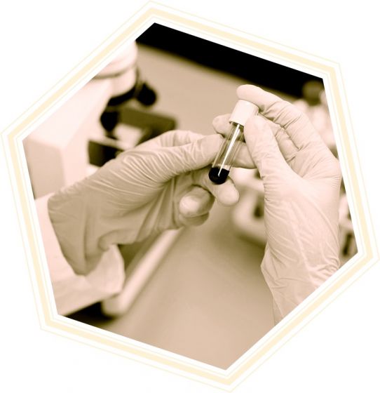 Nosūtījumi izmeklējumiem